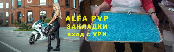 спиды Богородск