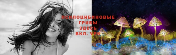 экстази Богданович