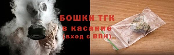 спиды Богородск