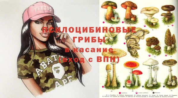прущий лед Богородицк