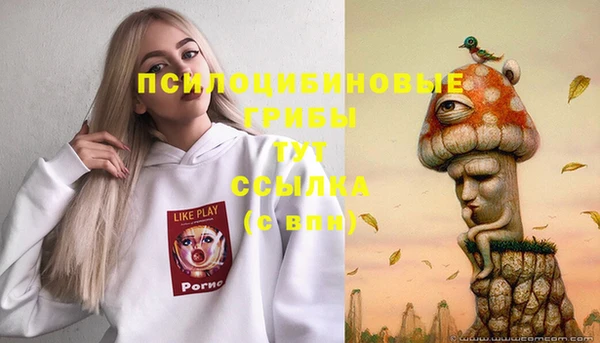 экстази Богданович