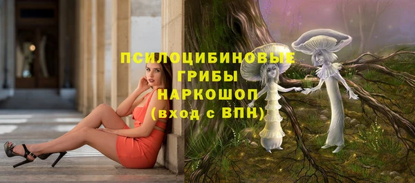 спиды Богородск