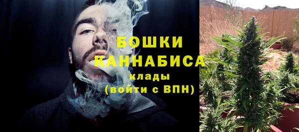 экстази Богданович